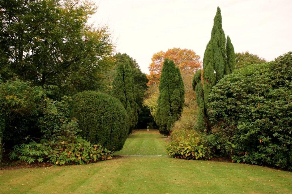 Cisswood House Hotel Хоршъм Екстериор снимка
